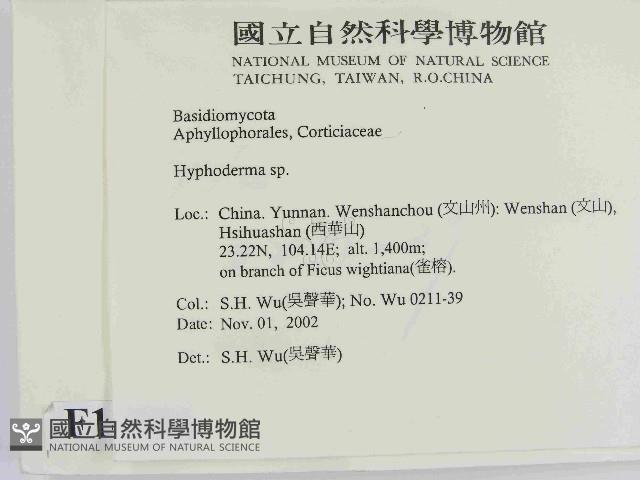 絲皮菌屬藏品圖，第2張