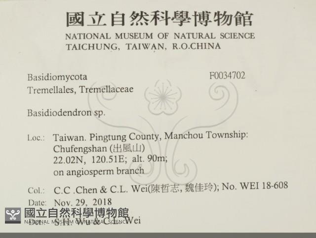 登錄號:F0034702藏品圖，第2張