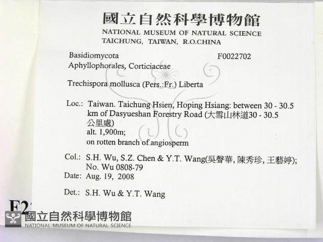 登錄號:F0022702藏品圖，第2張