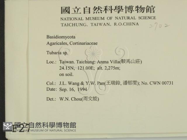 登錄號:F0002702藏品圖，第2張