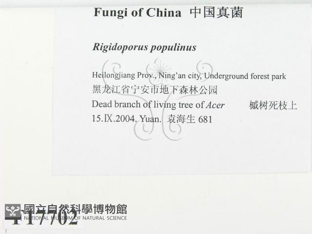 登錄號:F0017702藏品圖，第2張