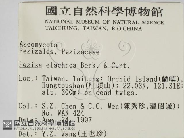 登錄號:F0005702藏品圖，第2張