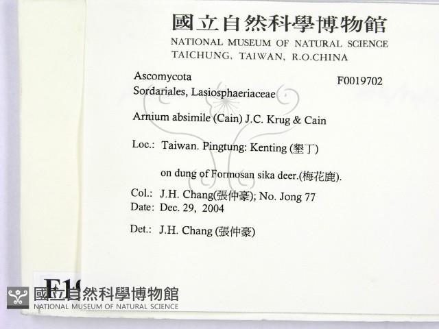 登錄號:F0019702藏品圖，第2張