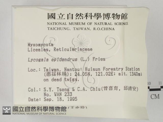 登錄號:F0003702藏品圖，第2張