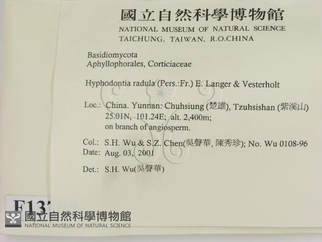 登錄號:F0013702藏品圖，第2張