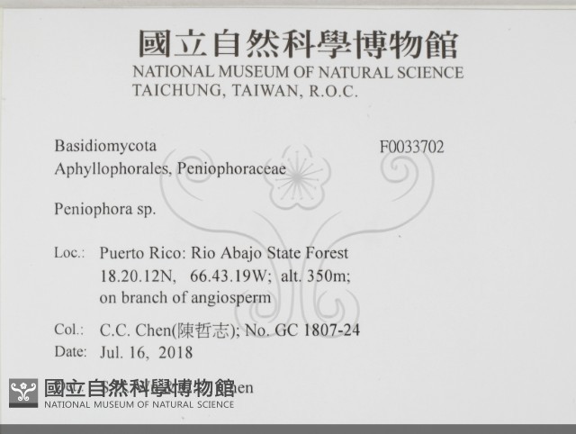 筍殼菌屬藏品圖，第2張