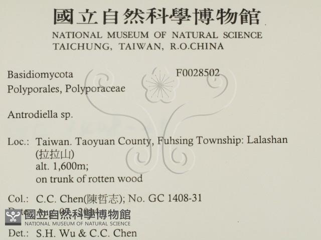 登錄號:F0028502藏品圖，第2張