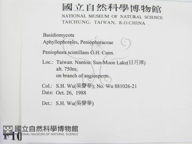 登錄號:F0010502藏品圖，第2張