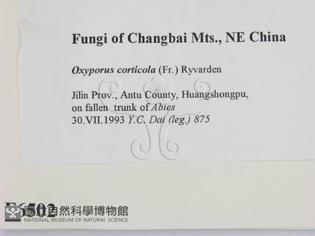 登錄號:F0006502藏品圖，第2張