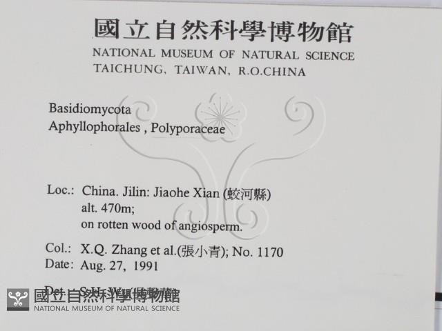 登錄號:F0016502藏品圖，第2張