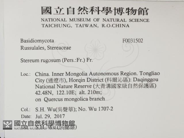 登錄號:F0031502藏品圖，第2張