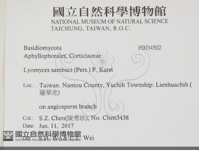 登錄號:F0034502藏品圖，第2張