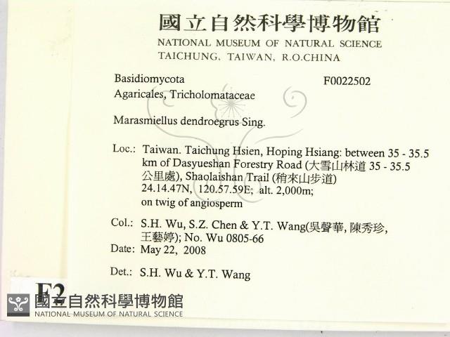 登錄號:F0022502藏品圖，第2張