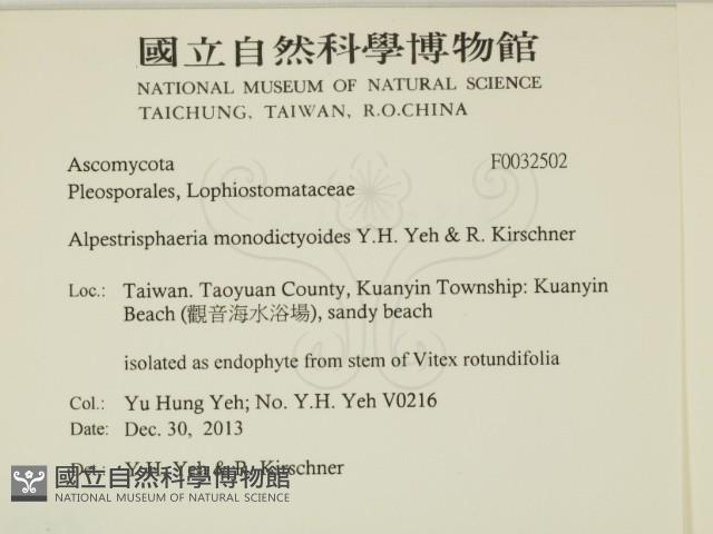 登錄號:F0032502藏品圖，第2張