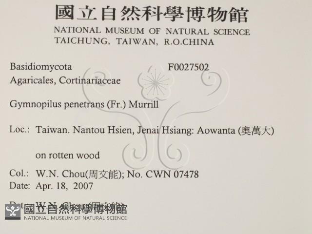 登錄號:F0027502藏品圖，第2張