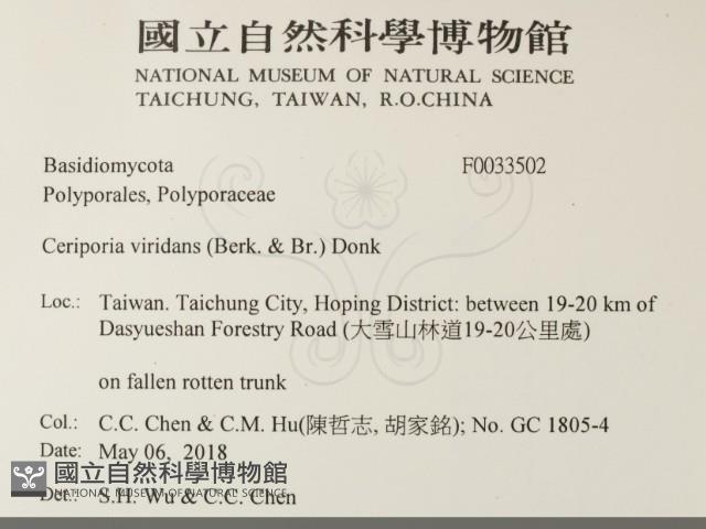 登錄號:F0033502藏品圖，第2張