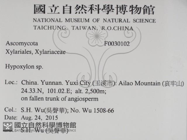 登錄號:F0030102藏品圖，第2張