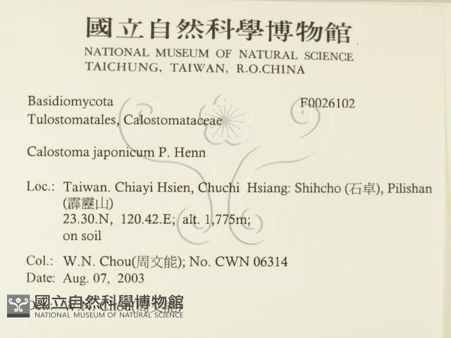 登錄號:F0026102藏品圖，第2張