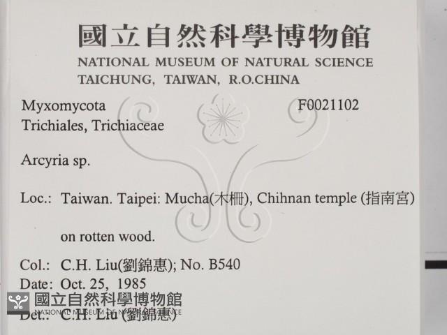 登錄號:F0021102藏品圖，第2張