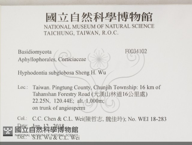 登錄號:F0034102藏品圖，第2張