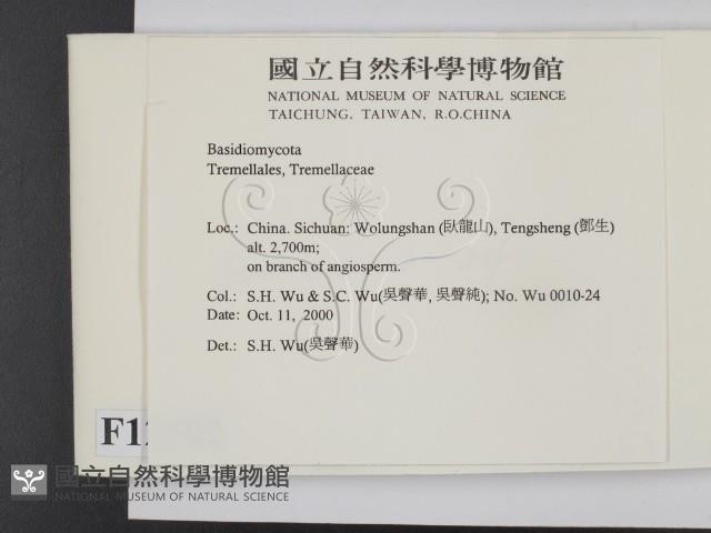登錄號:F0012102藏品圖，第2張