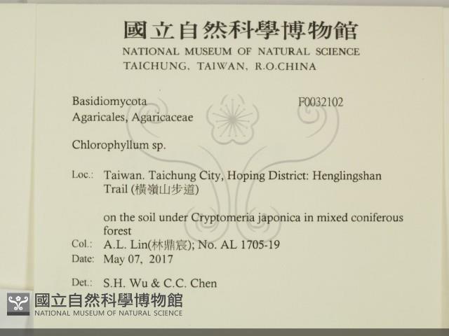 登錄號:F0032102藏品圖，第2張