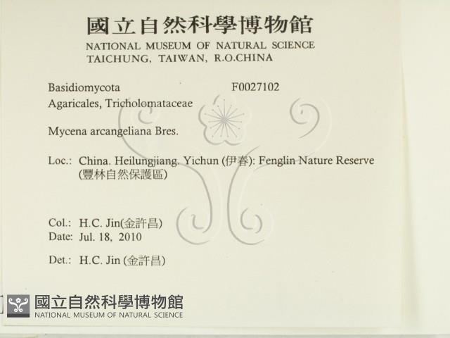 登錄號:F0027102藏品圖，第2張