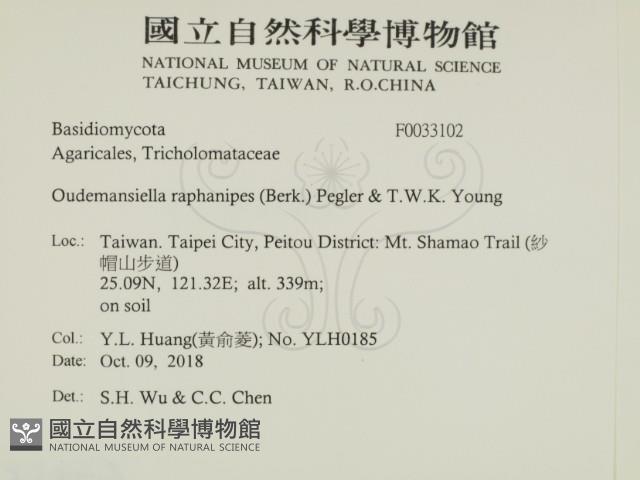 登錄號:F0033102藏品圖，第2張