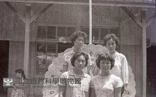 1950至2006年臺灣常民生活藏品圖，第1張