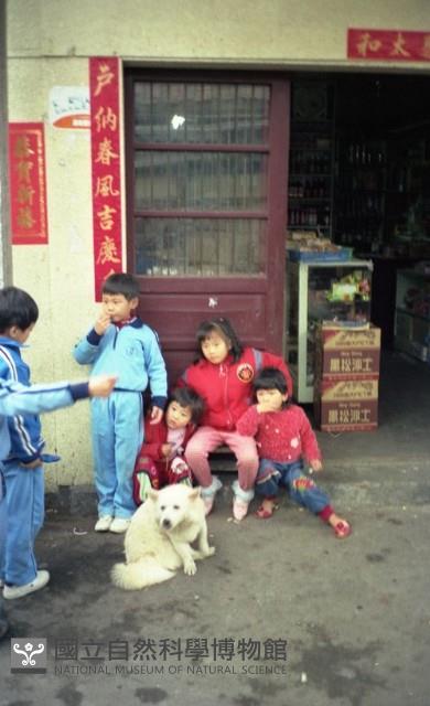 1950至2006年臺灣常民生活藏品圖，第1張