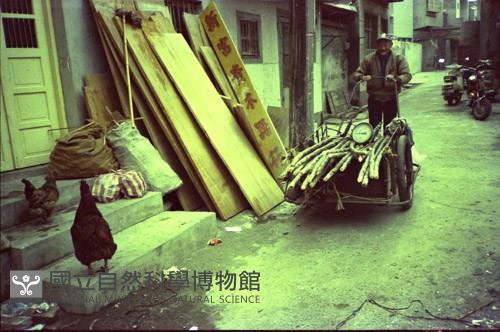 1950至2006年臺灣常民生活藏品圖，第1張