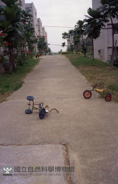 1950至2006年臺灣常民生活藏品圖，第1張