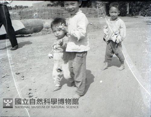 1950至2006年台灣常民生活藏品圖，第1張