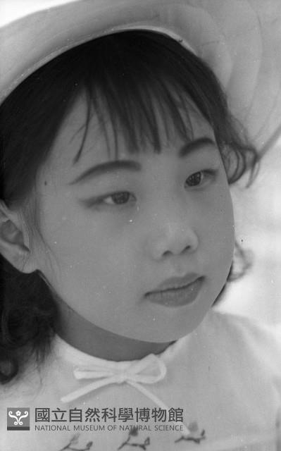 1950至2006年臺灣常民生活藏品圖，第1張