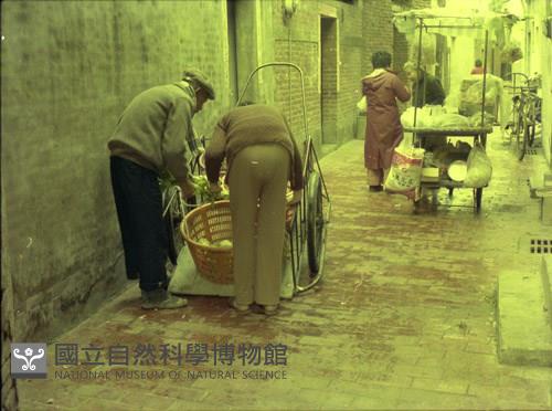 1950至2006年臺灣常民生活藏品圖，第1張
