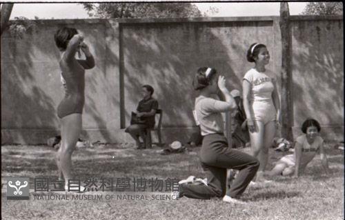 1950至2006年臺灣常民生活藏品圖，第1張