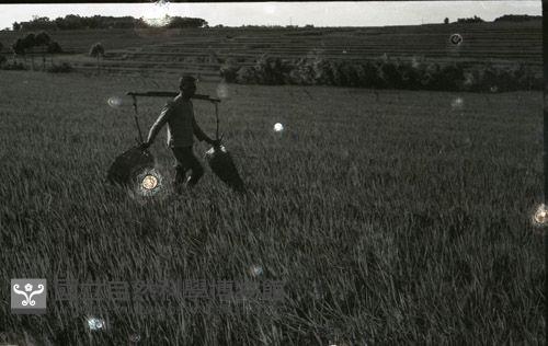 1950至2006年臺灣常民生活藏品圖，第1張