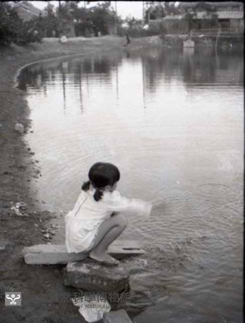 1950至2006年臺灣常民生活藏品圖，第1張