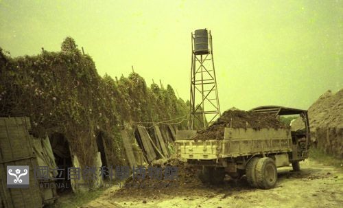 1950至2006年臺灣常民生活藏品圖，第1張
