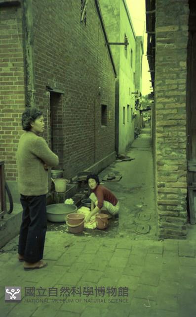 1950至2006年臺灣常民生活藏品圖，第1張