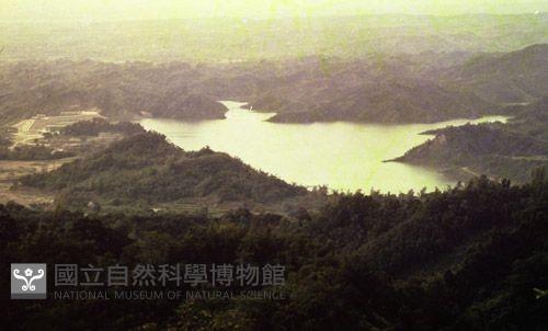 1950至2006年臺灣常民生活藏品圖，第1張