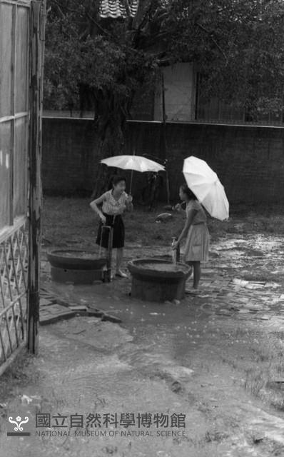 1950至2006年臺灣常民生活藏品圖，第1張