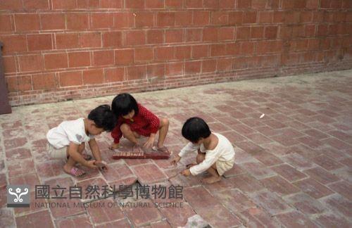 1950至2006年臺灣常民生活藏品圖，第1張