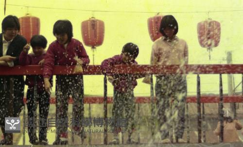 1950至2006年臺灣常民生活藏品圖，第1張