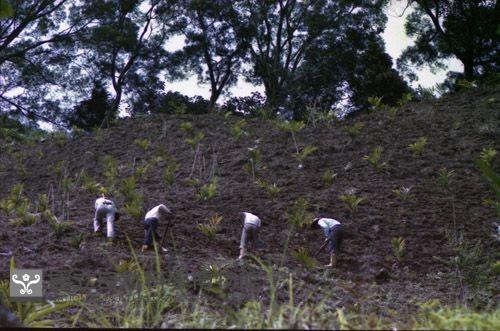 1950至2006年臺灣常民生活藏品圖，第1張