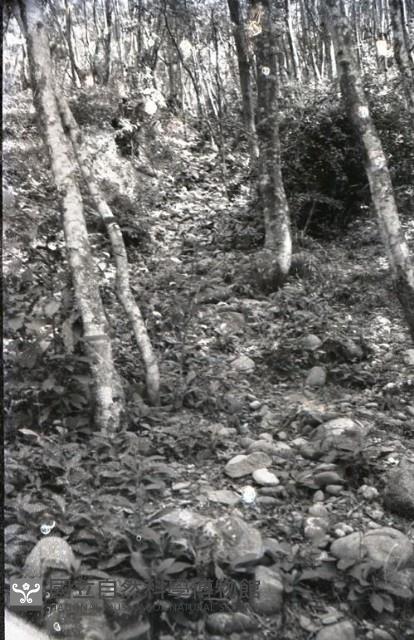 1950至2006年臺灣常民生活藏品圖，第1張