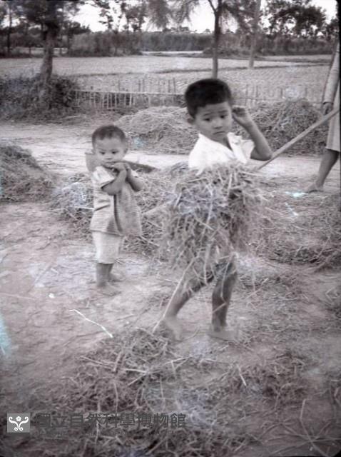 1950至2006年臺灣常民生活藏品圖，第1張