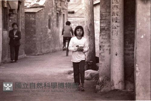 1950至2006年臺灣常民生活藏品圖，第1張