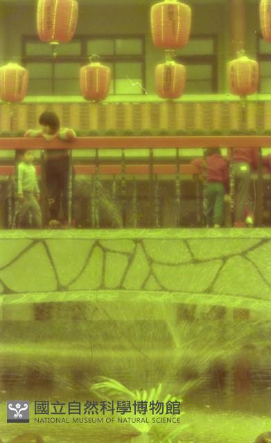 1950至2006年臺灣常民生活藏品圖，第1張