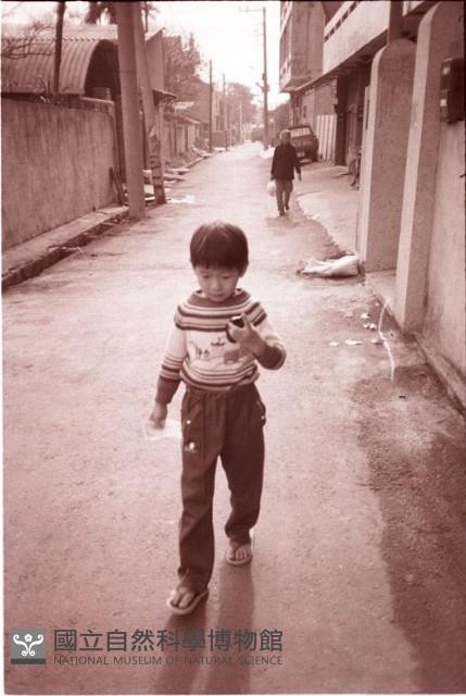 1950至2006年臺灣常民生活藏品圖，第1張